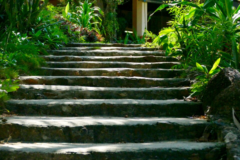 Stairs gradually tropical
