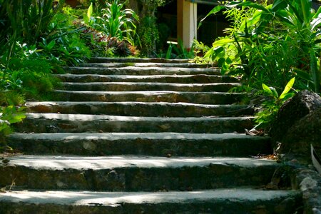 Stairs gradually tropical photo