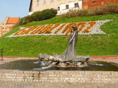 Nature at the court of city photo