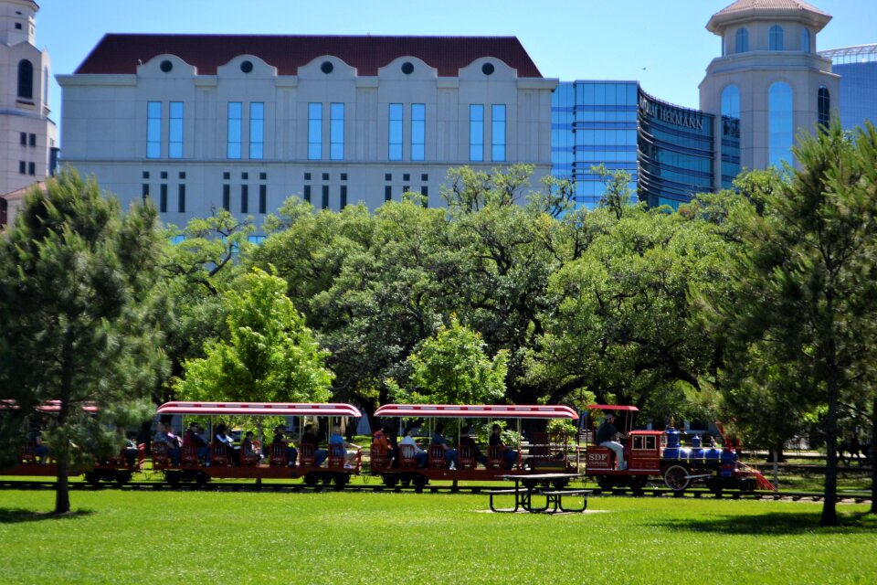 Train trees grass