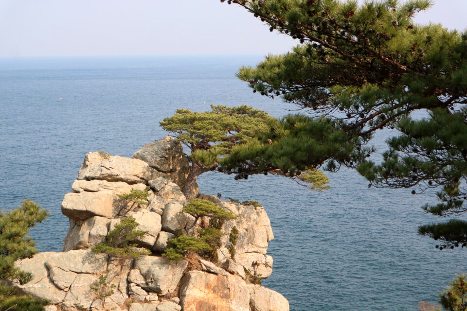 Nature sea coast
