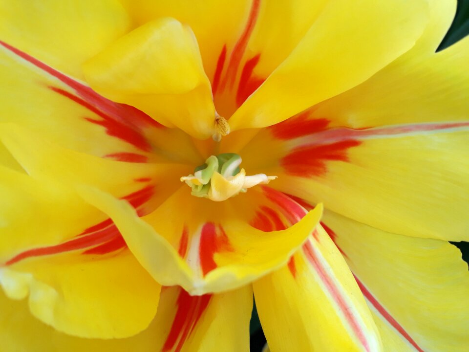 Bright summer embroidery