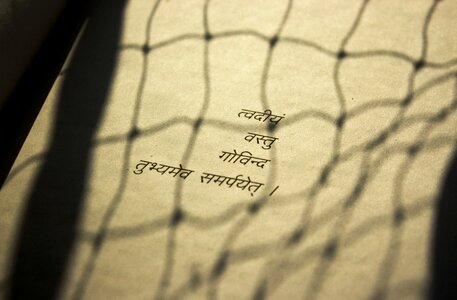 Sanskrit gujarati shloka photo