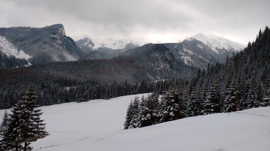 Panoramic cold buried