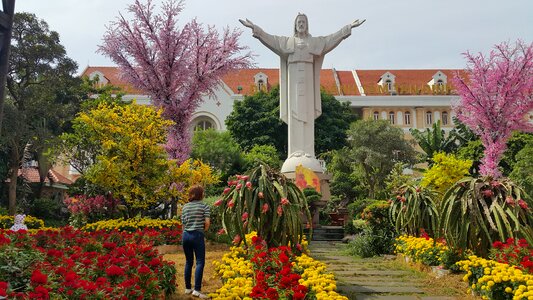 Park flora viet nam photo