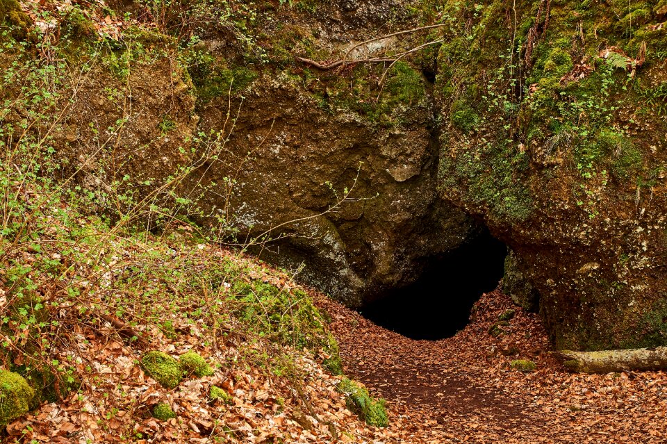 Wood ice caves in birresborn eifel