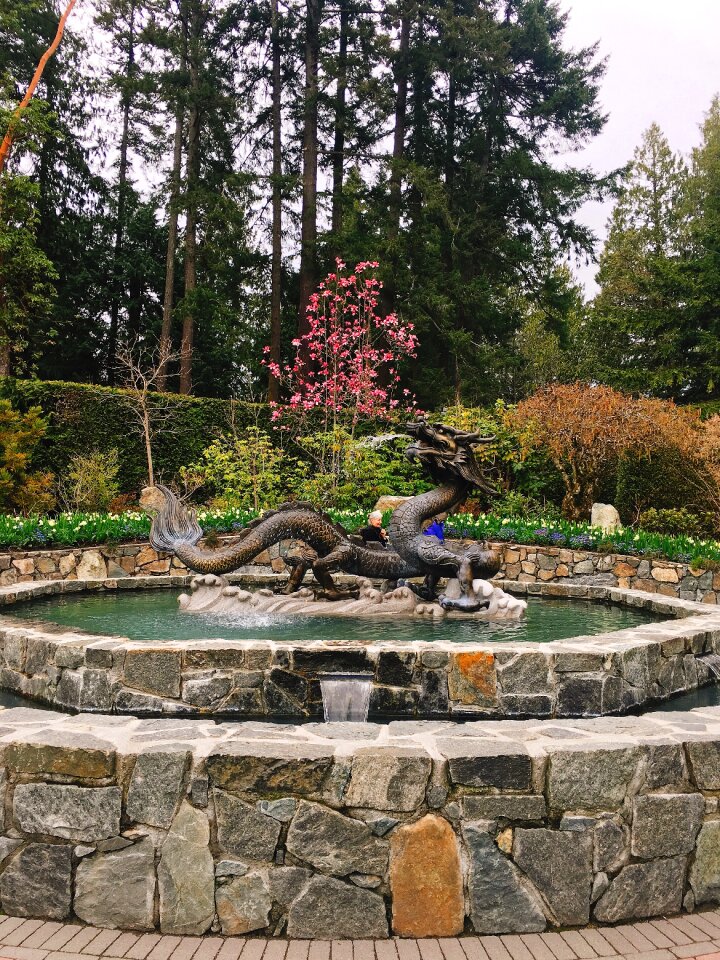 Architecture garden dragon