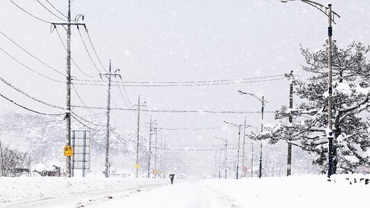 Snow a snowy day gangneung