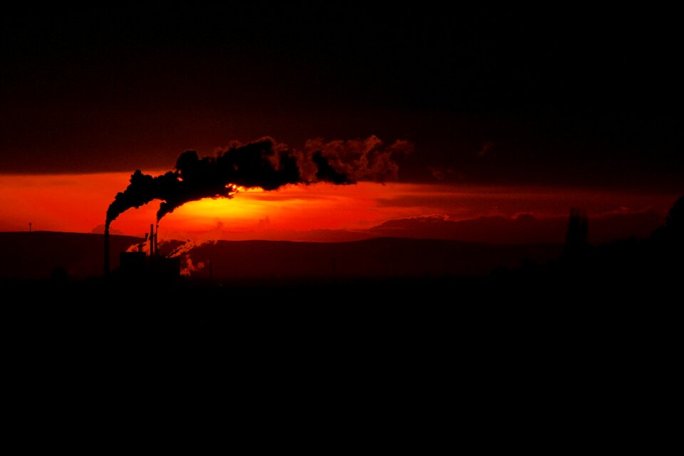 Silhouette dawn dusk