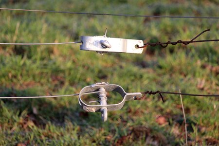 Animal world wicker fence wire tensioner