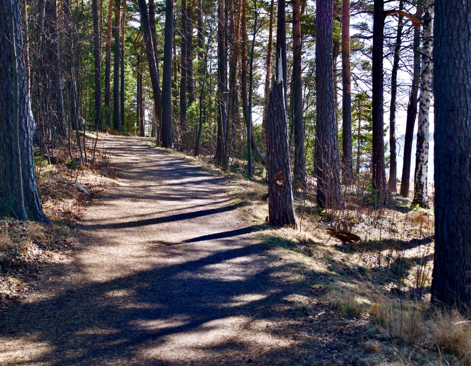 Road outdoors the path