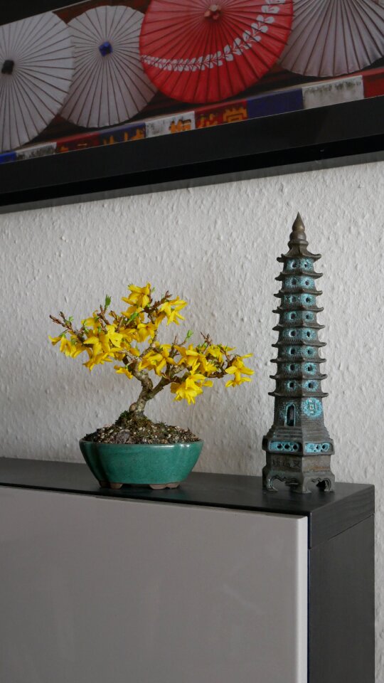 Japanese miniature small