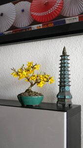 Japanese miniature small