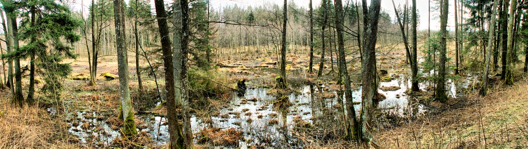 Panoramic landscape no one