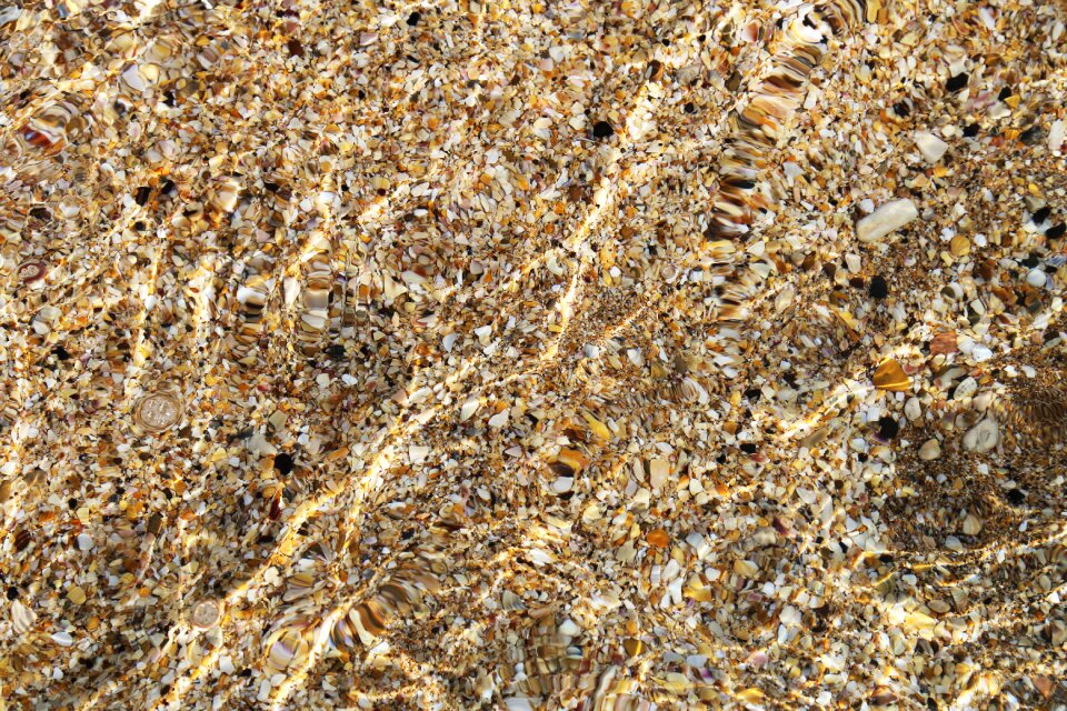 Background water coquina
