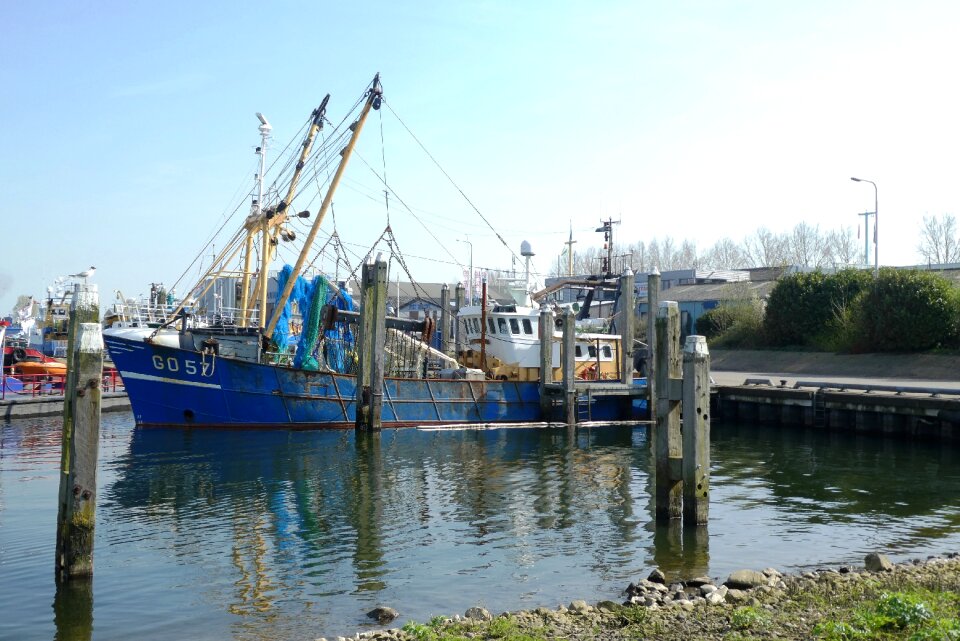 Transport job fish