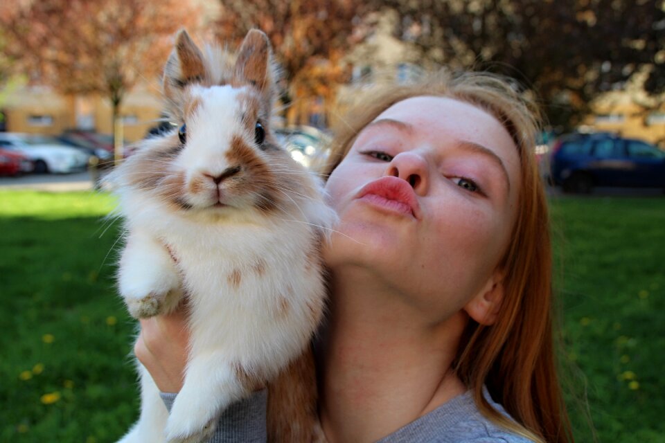 The rabbit the lion's girl Free photos