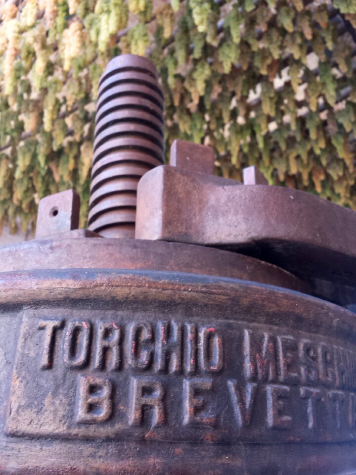 Grape press thread old device