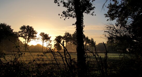 Sunset panoramic outdoor photo