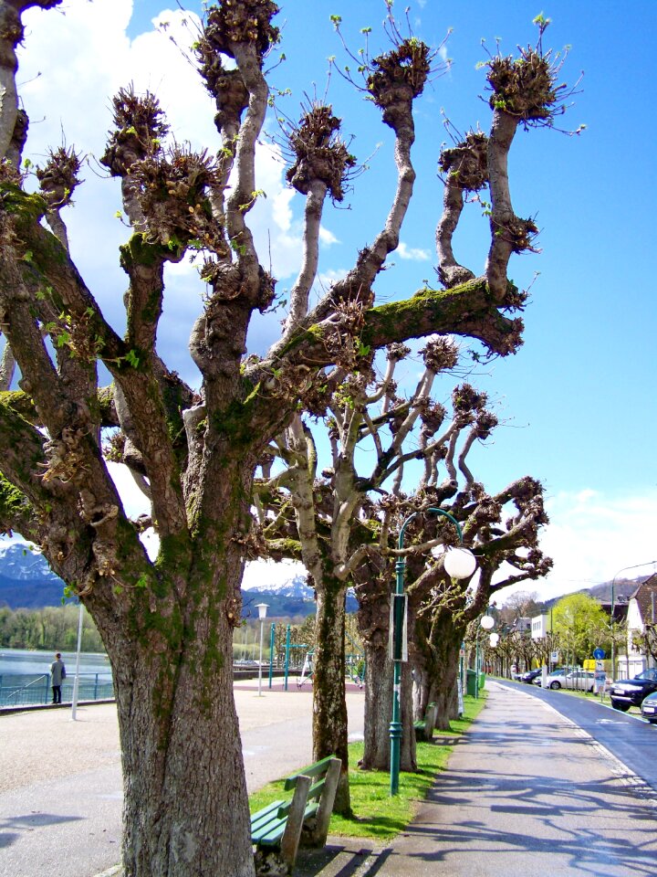 Promenade promo austria