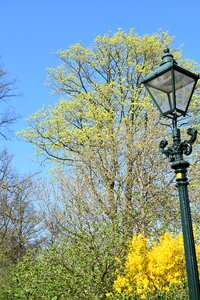 Landscape season park