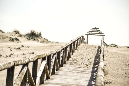 Travel outdoors beach photo