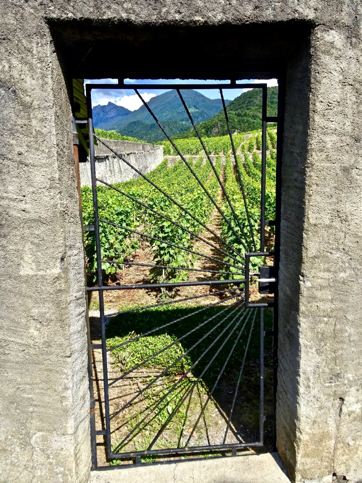 Window architecture wall
