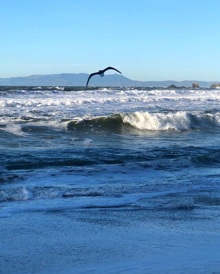 Ocean wave nature