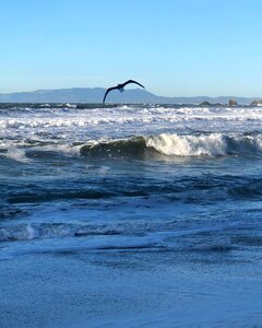 Ocean wave nature