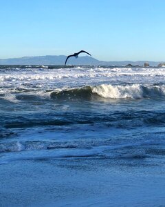 Ocean wave nature photo