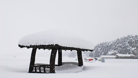 Snow a snowy day gangneung