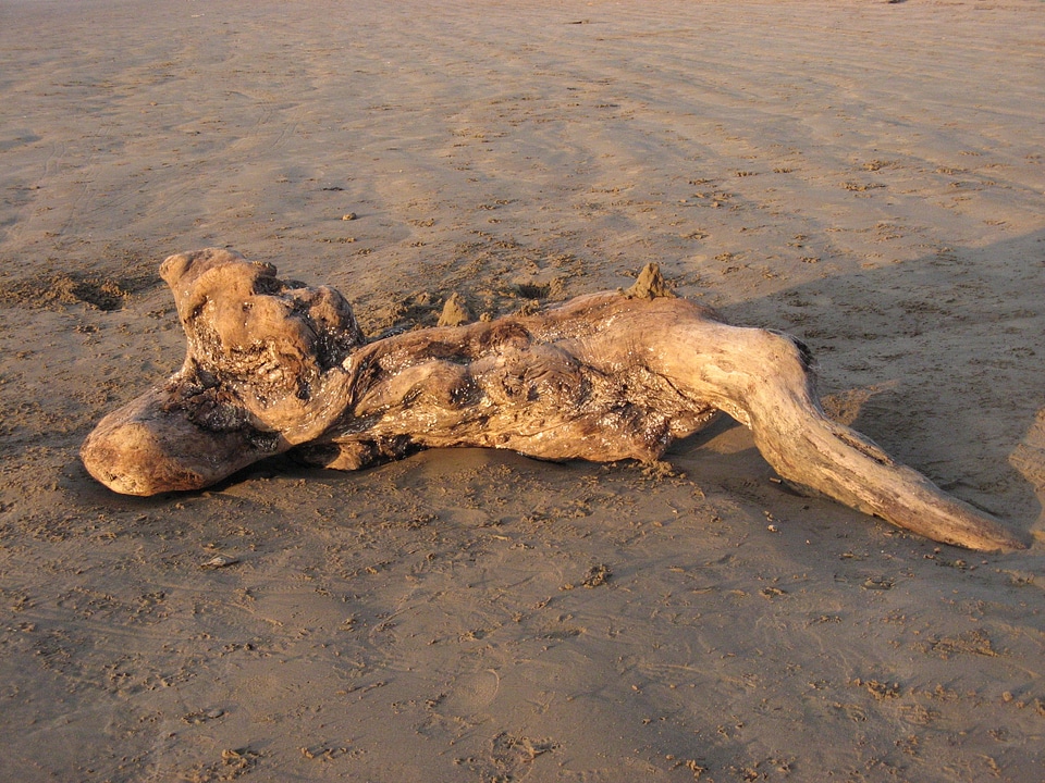 Pendine sands wales