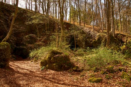 Landscape leaf ice caves in birresborn