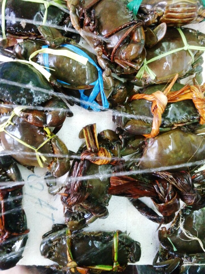 Crab seafood