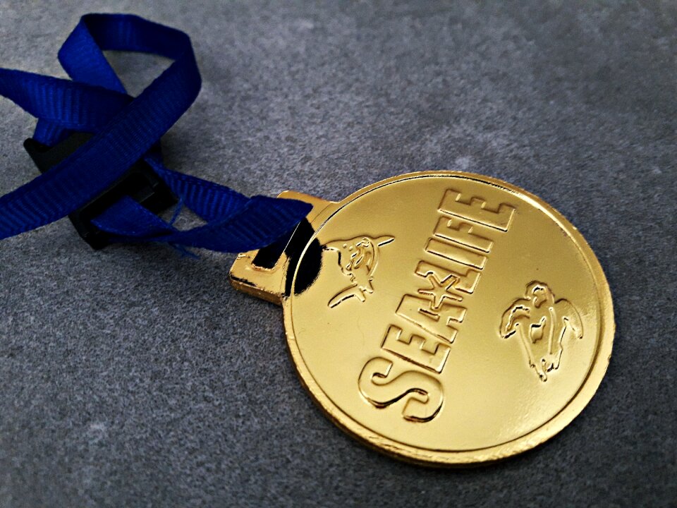 Business a wealth of medal
