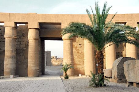 Colonnade columns palm photo