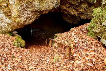 Travel cave birresborn