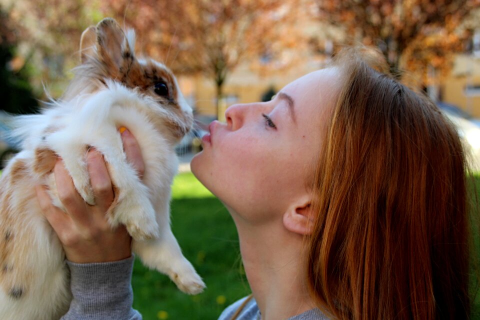Lady and the rabbit outdoors Free photos