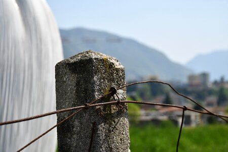 Sky campaign fences