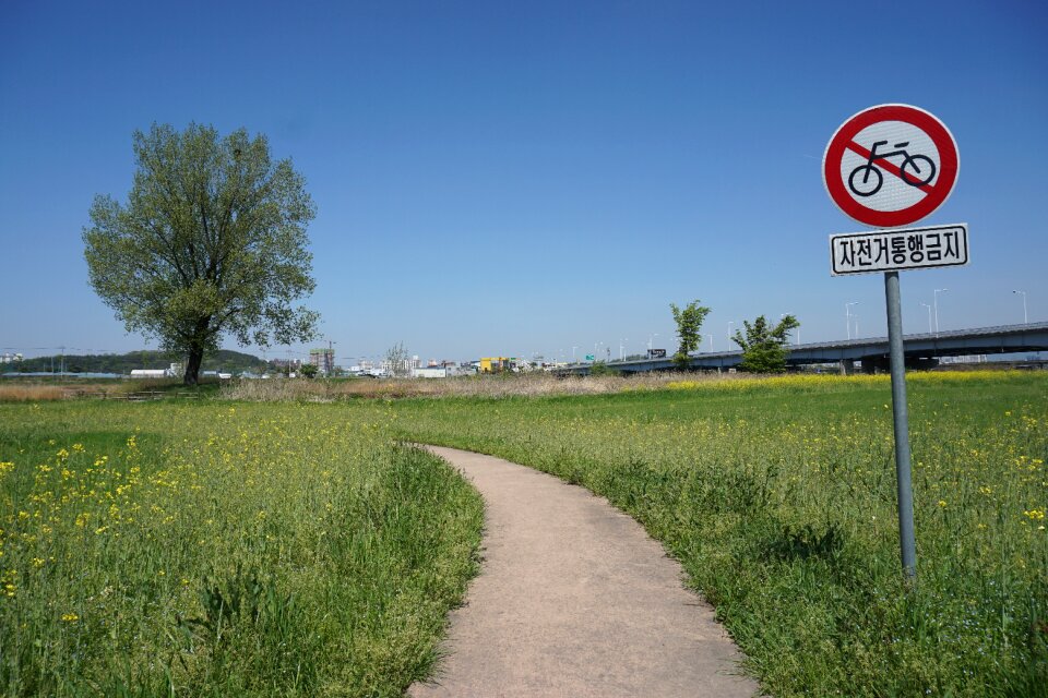 Heaven blue sky sign