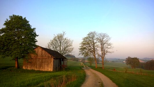 Nature wood sky photo