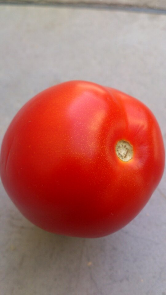 Color fruit vegetable