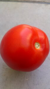 Color fruit vegetable