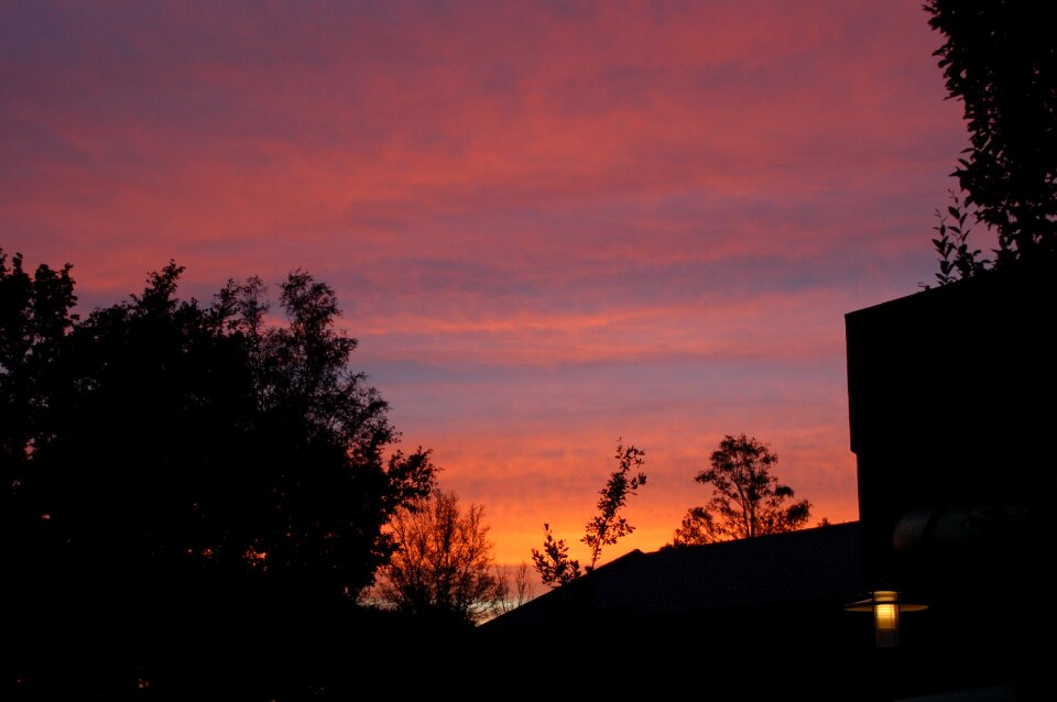 Dawn nature panoramic