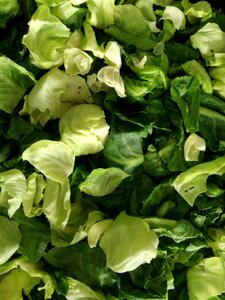 Flora healthy