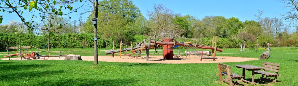 Grass wood panorama