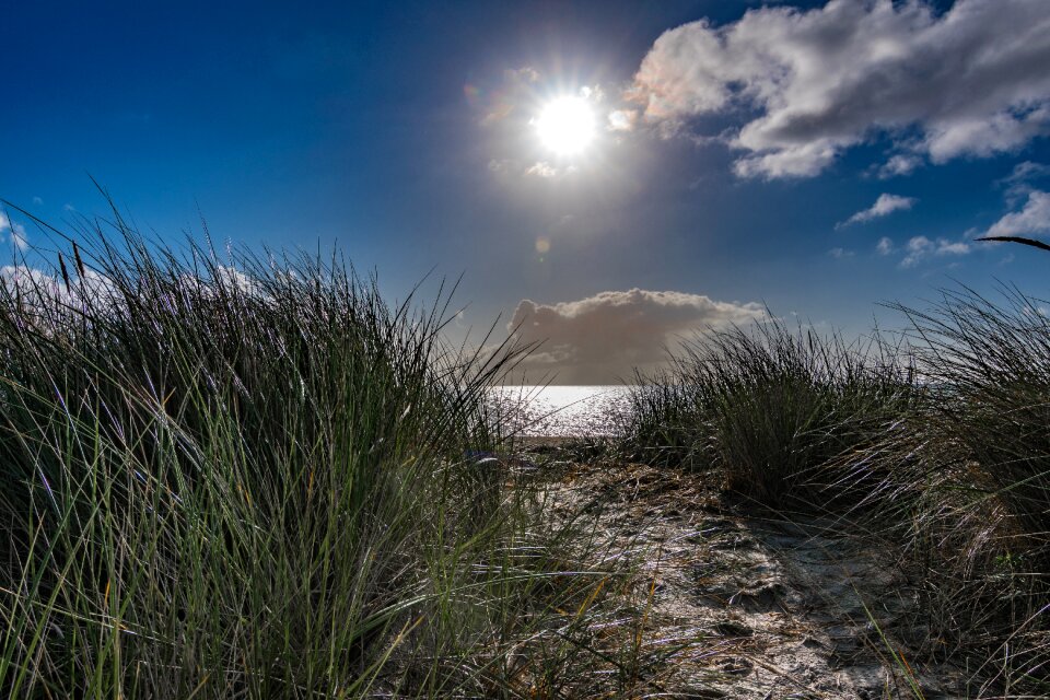 Landscape grass schönwetter