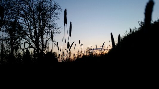 Outdoors landscape desktop
