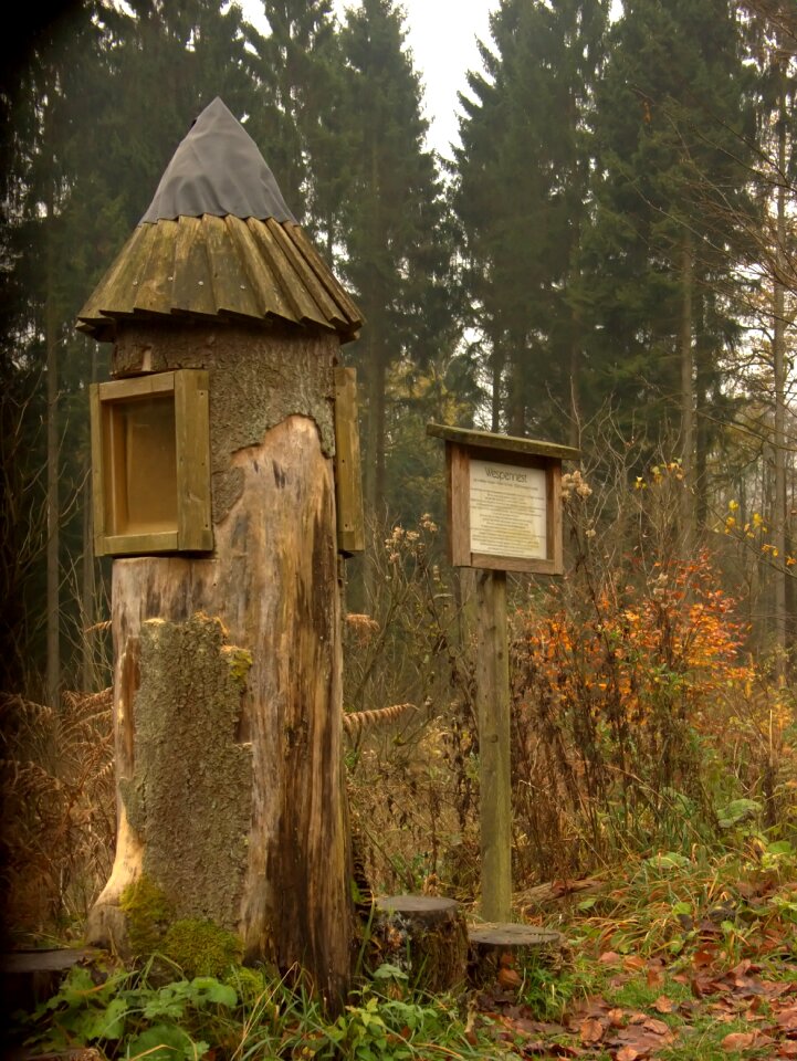 Nature landscape wasps house