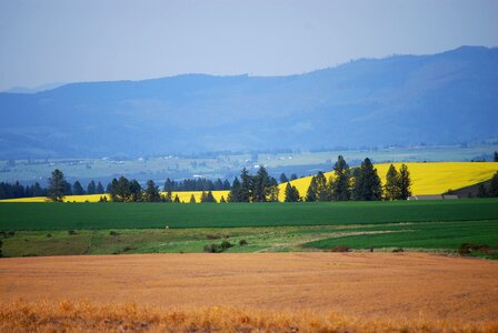 Agriculture sky